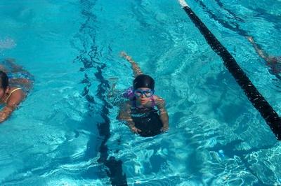 Swim team practice in the pool