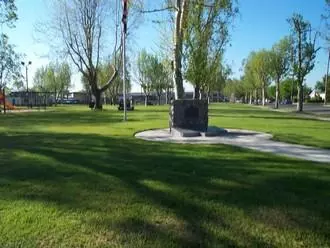 Shaded lawn and trees at Memorial Park