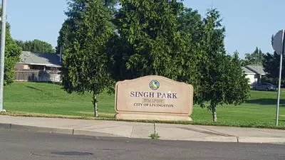 Shade trees at Singh Park